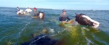 Horseback Riding Near Anna Maria Island