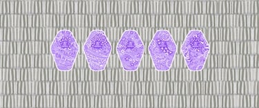 Graphic showing five purple reusable napkins on top of hundreds of grey disposable ones.