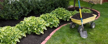 gardening with shovel and wheelbarrel. Adding soil & mulch