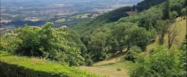 monts du lyonnais