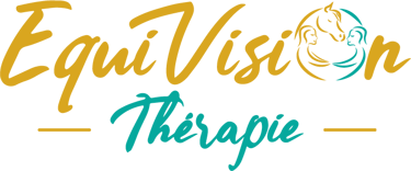 logo equivisiontherapie