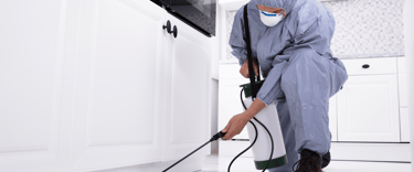 pest control services in hampton roads