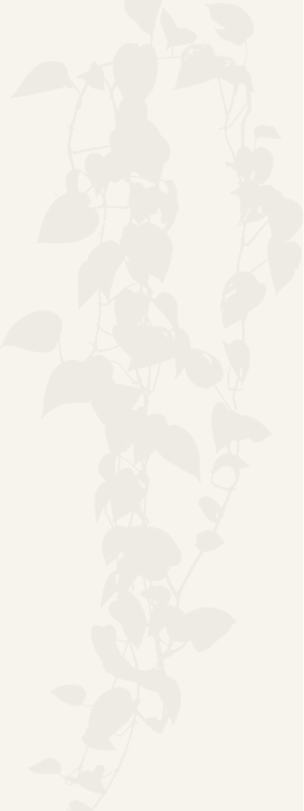 Decorative botanical leaves background