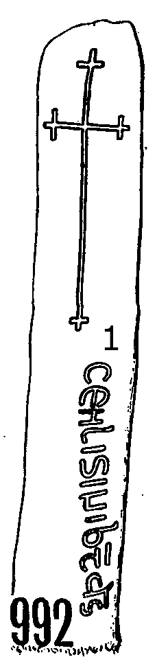 Llanddewi Brefi Runestone 992  - County Cardigan, Wales