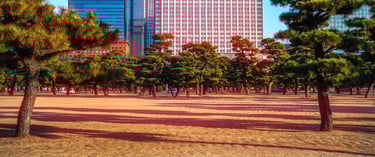 Tokyo Cinematic