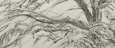 Dumfries House Study 2