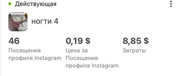 Client results after implementing paid ads strategy with Your smm x agency