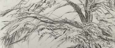 Dumfries House Study 2