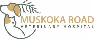 Link to Muskoka Road Veterinary Hospital