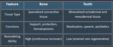bone_tooth_overview