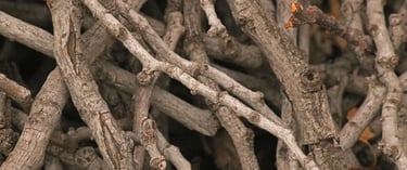 wooden branches