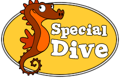 Specialdive Logo