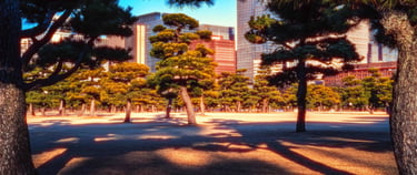 Tokyo Cinematic