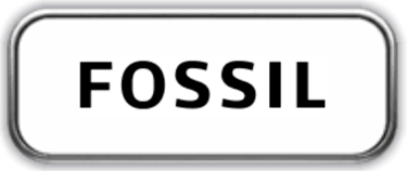 Fossil Joias e Relogios Link Autorizado