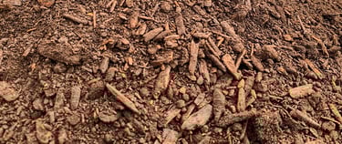 compost soil