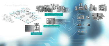 Biopharmaceutical Downstream Process