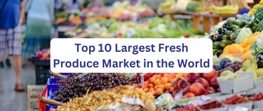 a variety of fruits and vegetables in a fresh produce market