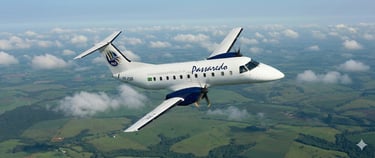a plane flying over a field with clouds