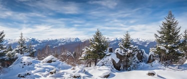 a snow covered mountain with trees and a blue sky
