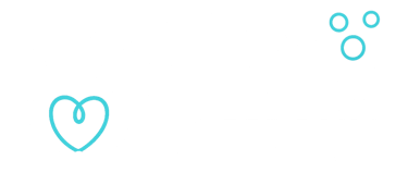 CareCleaning Company Logo