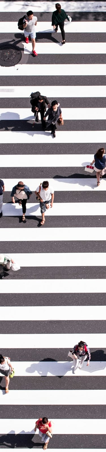 Pedestrians crossing a major road