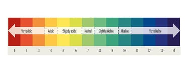 ph scale shows alkaline water range