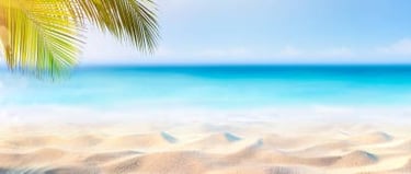 vacances coach sportif plage summer