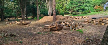 Bois billonné en plusieurs endroit