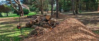 Tas de copeaux et de bois en sous bois