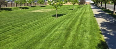 Commercial Maintenance Company