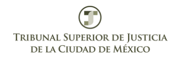 tribunal de la ciudad de mexico