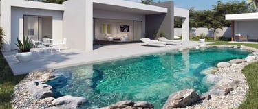 casa moderna con piscina naturale
