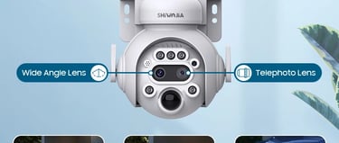 Videovigilancia