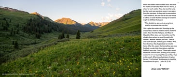 West Maroon Valley wildflowers and Baldy Peak at sunrise