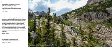Upper Ouzel Creek cascading below Bluebird Lake basin  and Ouzel Peak