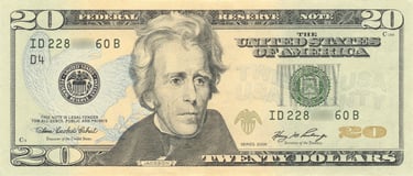 $20 bill