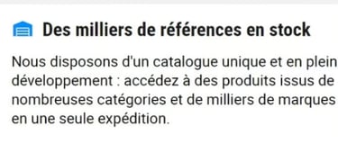 Vente en gros B2B