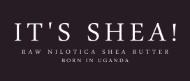 it's shea raw nolitica shea butter brand
