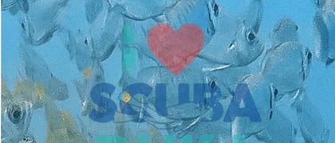 Scuba Duka Diani Beach diving gift voucher for a two dive package with a school of fish underwater.