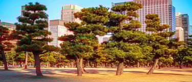 Tokyo Cinematic
