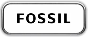 Fossil Joias e Relogios Link Autorizado
