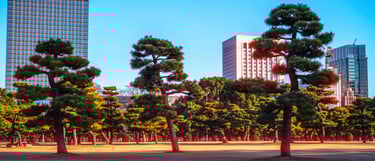 Tokyo Cinematic