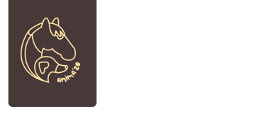 Animazo masages animaux