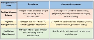 nitrogen balance explained!