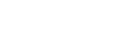pioneer logo white