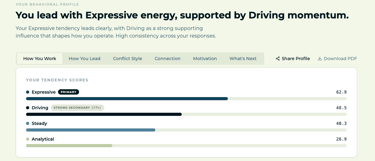 Behavioral profile assessment results showing high expressive and driving tendency scores on a dashboard.
