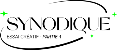 réalisation vidéo synodique littydoz reportage lille