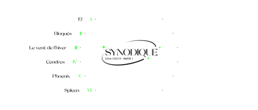 réalisation vidéo synodique littydoz reportage lille