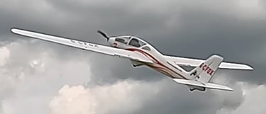 Mike G FMS Fox Glider (cloudy) 