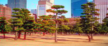 Tokyo Cinematic